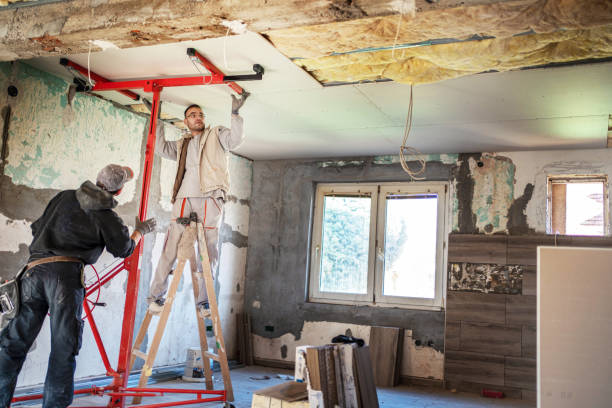 Best Cellulose Insulation in Cold Spring Harbor, NY
