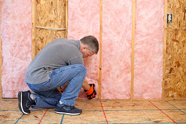 Best Eco-Friendly Insulation in Cold Spring Harbor, NY